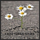 Fractured Hairs